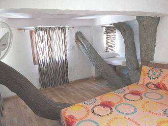 Junglee Resort  Rajaji National Park, Rishikesh 2
